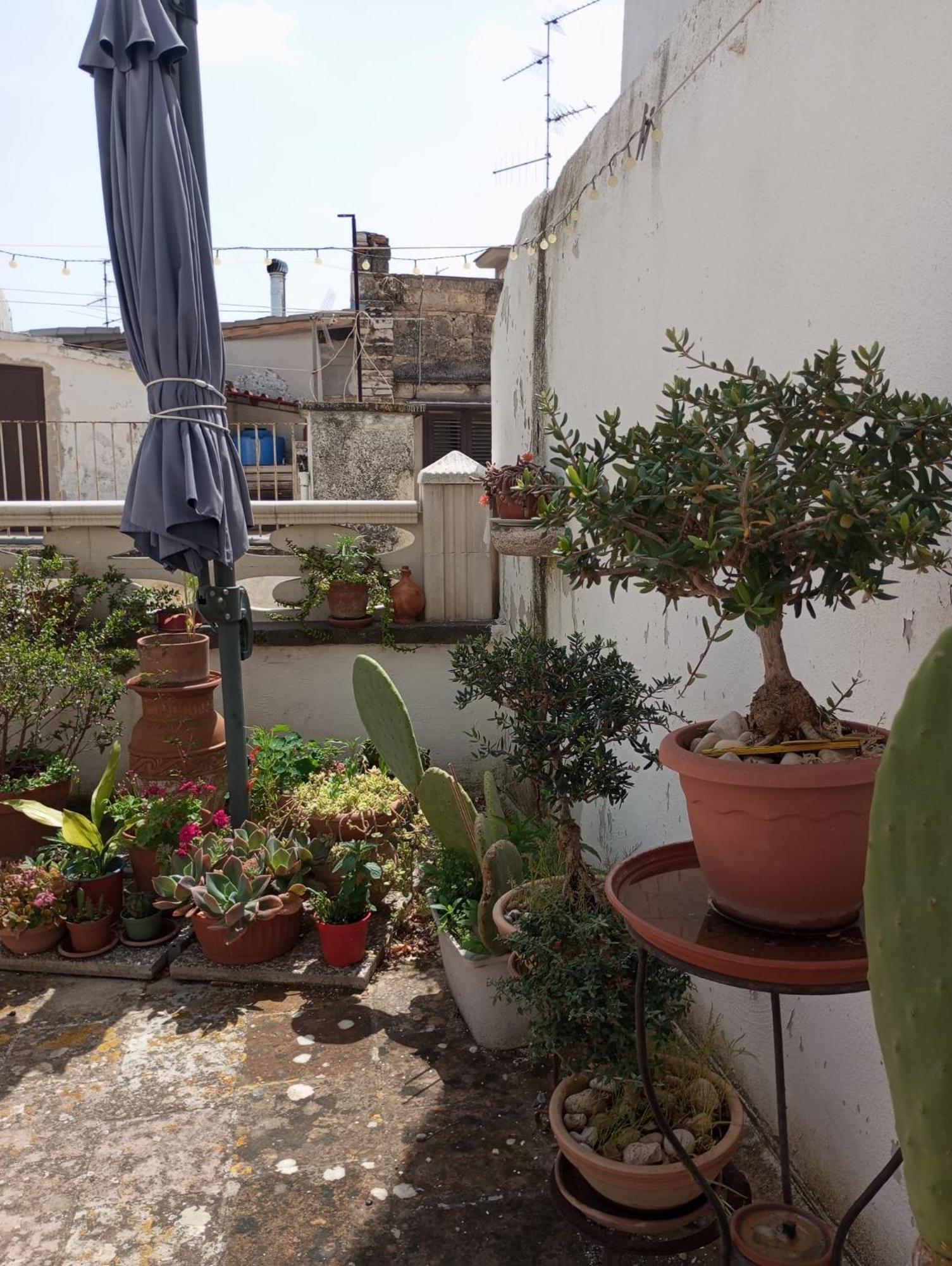 Tappa A Apartment *